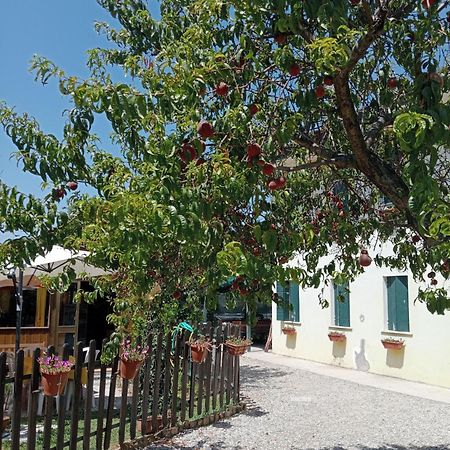 Appartamento Malcontenta Mira Ngoại thất bức ảnh